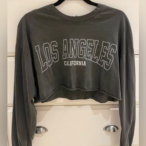 Forever21 Grey Long Sleeve Graphic Cropped Tee — Size M